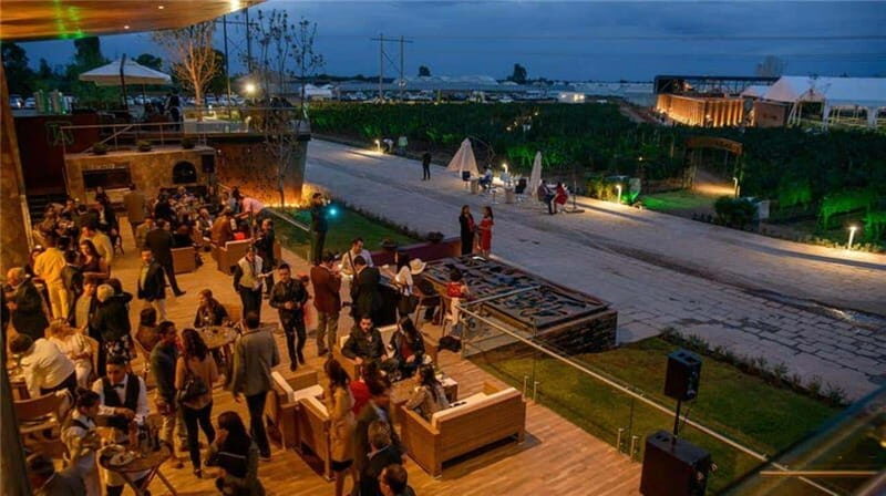 Zacatecas: Campo Real Vinícola Tour - Key Points