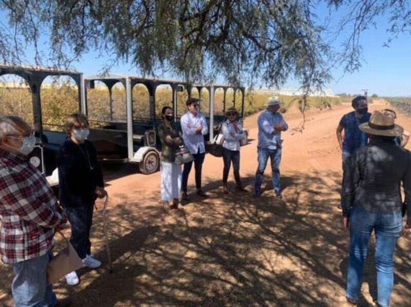 Zacatecas: Campo Real Vinícola Tour - Who Will Enjoy This Tour?