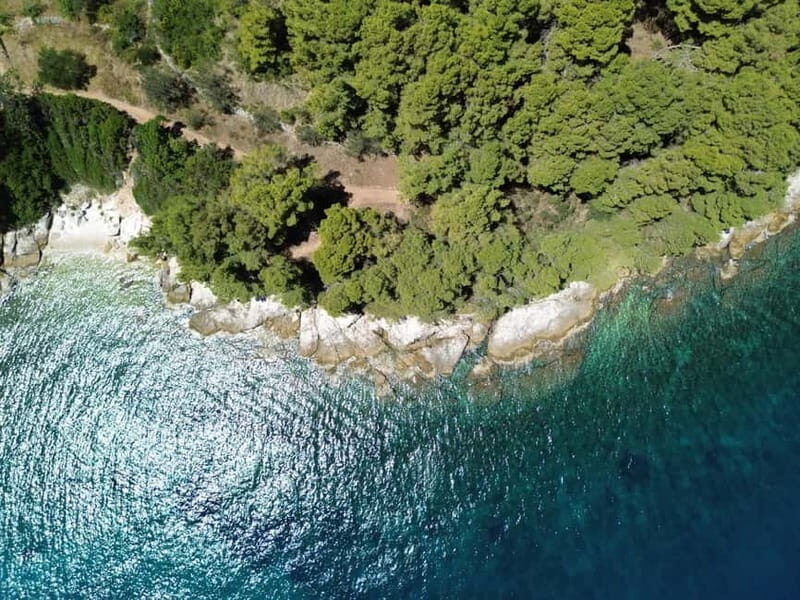 Zadar 3 Islands Speedboat&Luxury Tour with Drinks and Diving - Who Will Love This Tour?