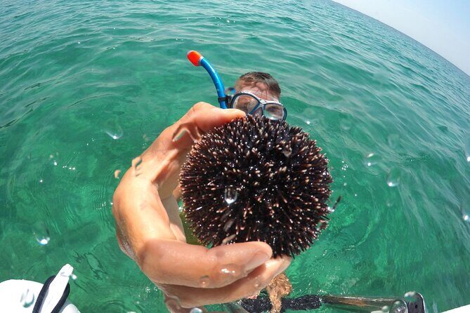 Zadar 3-Islands Tour: Snorkeling, Beach & Sightseeing - 4,5hr - The Itinerary in Detail