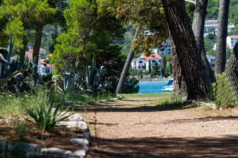 Zadar: Boat Tour to the Ugljan, Preko, and Oljak Islands - An In-Depth Look at the Zadar Island Boat Tour