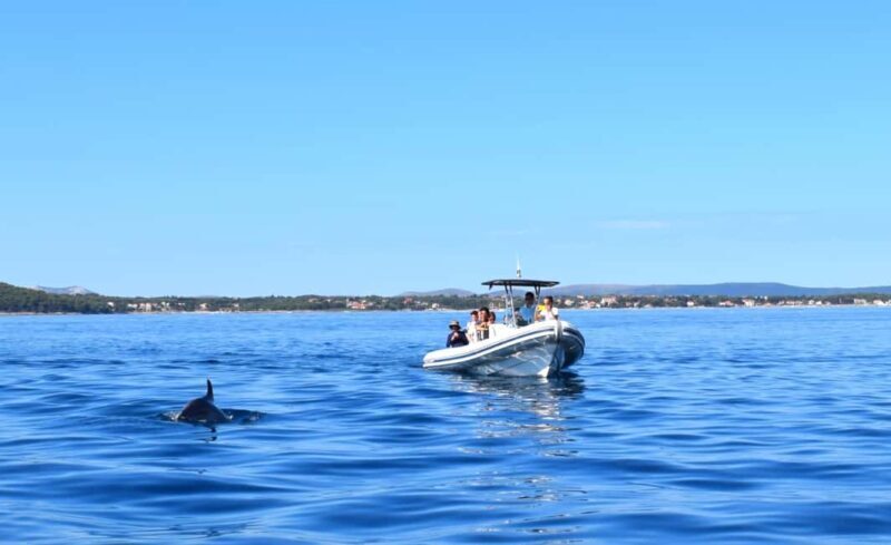 Zadar: Dugi Otok Island - 2x Snorkeling & Sandy Beach - 7 hr - Introduction: A Taste of the Dugi Otok Experience