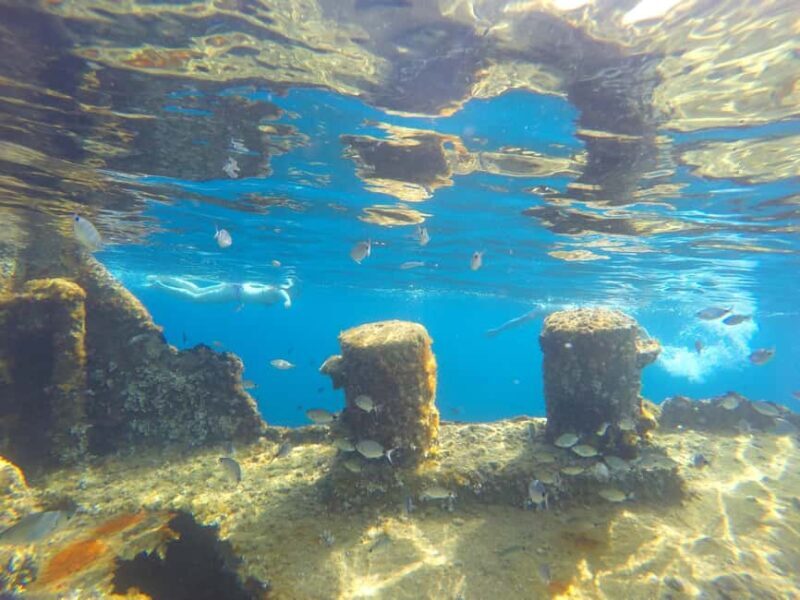 Zadar: Dugi Otok Island - 2x Snorkeling & Sandy Beach - 7 hr - The Sum Up: Who Should Book This Tour?