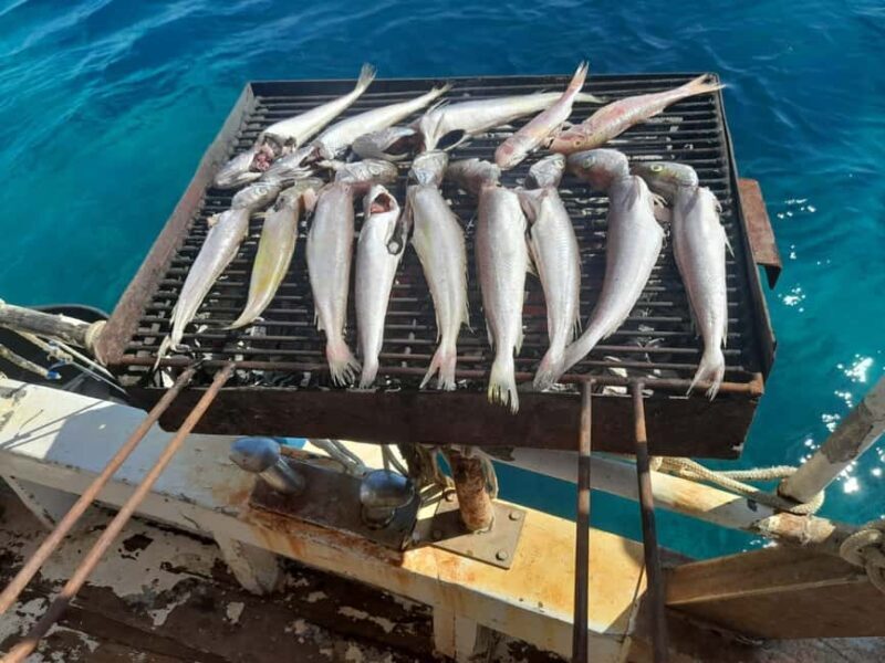 Zadar: Fishing Boat Trip with Lunch and Swimming Included - Why This Tour Offers Great Value