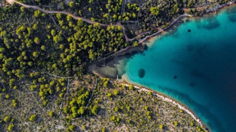 Zadar: Half Day Speedboat Adventure - Key Points