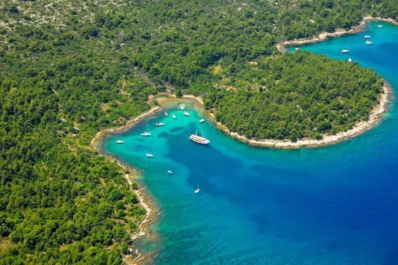 Zadar: Half day Speedboat tour with Snorkeling and Drinks - Final Thoughts