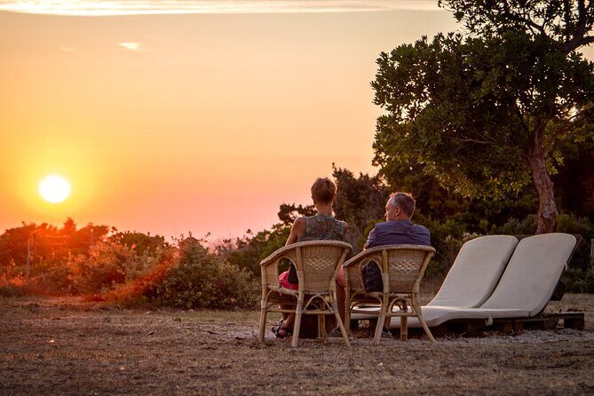 Zadar Hinterland Wine Route - What to Expect from the Experience
