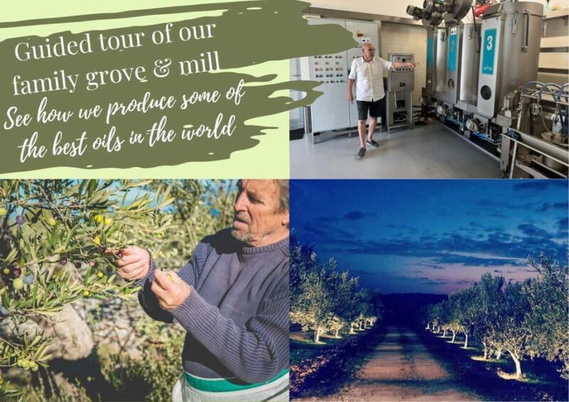 Zadar, ibenik: olive oil, wine & food tasting, Self Drive - FAQ