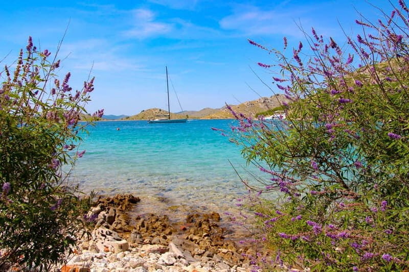 Zadar: Island Hopping Boat Tour with Snorkeling - What Travelers Are Saying: Authentic Experiences