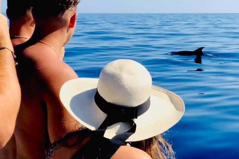 Zadar: Island-Hopping, Swimming & Snorkeling SpeedBoat Tour - The Sum Up