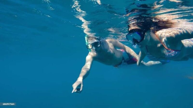 Zadar Luxury Group or Private Speedboat Tour - Key Points