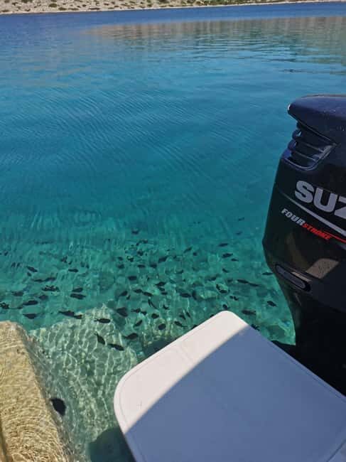 Zadar: National Park Kornati Tour with Eufemija boat - Authentic Experiences and Traveler Feedback