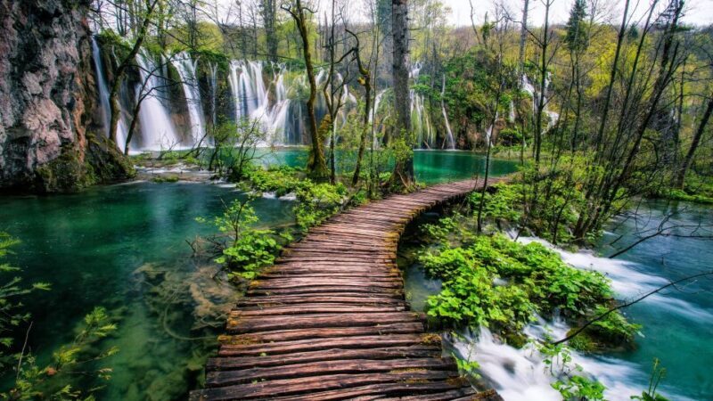 Zadar: Plitvice Lakes Guided Day Tour with Tickets - What Makes This Tour Stand Out?