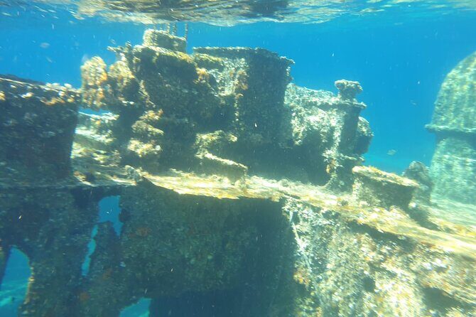 Zadar: Sakarun - Dugi otok Luxury Speedboat Tour with Lunch - Who Will Love This Tour?