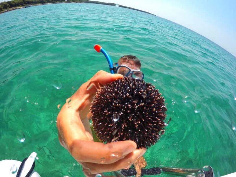 Zadar: Shipwreck Dive, Sandy Beach, Lighthouse & Island Tour - Reviews and Real Experiences