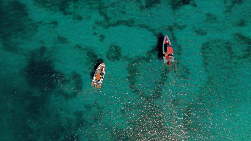 Zadar: Speedboat Tour with Snorkeling & Fruit - An In-depth Look at the Speedboat Experience in Zadar