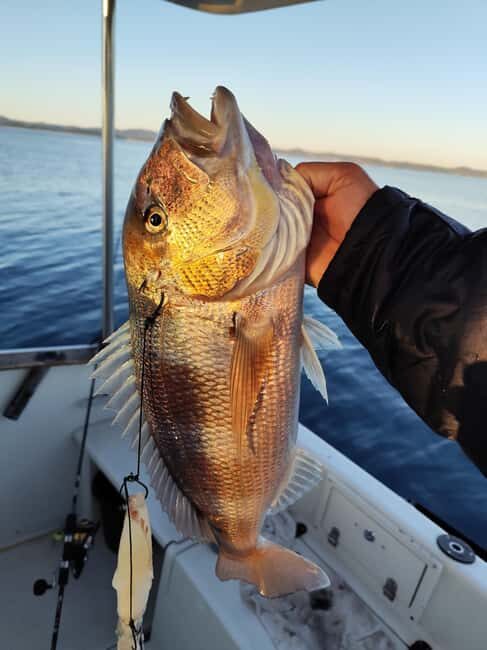 Zadar: Sunset Fishing Half-Day Guided Boat Trip - Who Will Love This Tour?