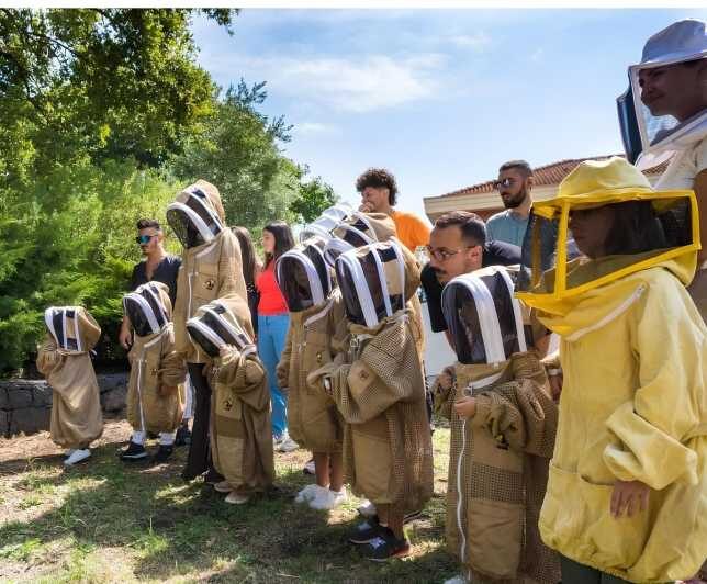 Zafferana Etnea:Honey extraction workshop and honey tasting - Practical Details and Tips for Visitors