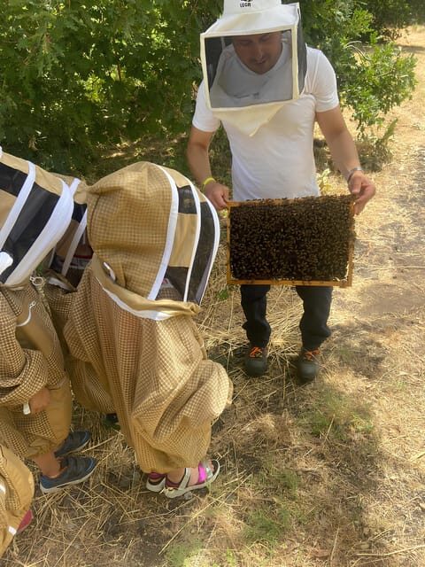 Zafferana Etnea:Honey extraction workshop and honey tasting - Why This Tour Is Worth Considering
