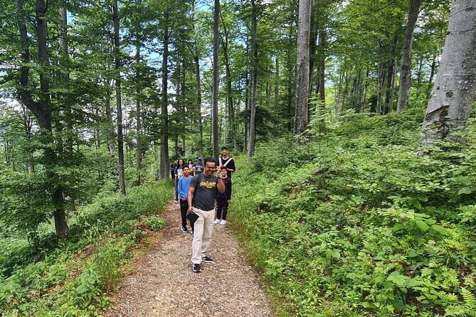 Zagreb Hike & Taste - Nature Park. Medieval castle. Local Dinner - What Travelers Say