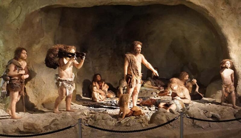 Zagreb: Krapina Neanderthal Museum & Trakoan Castle Tour - The Sum Up
