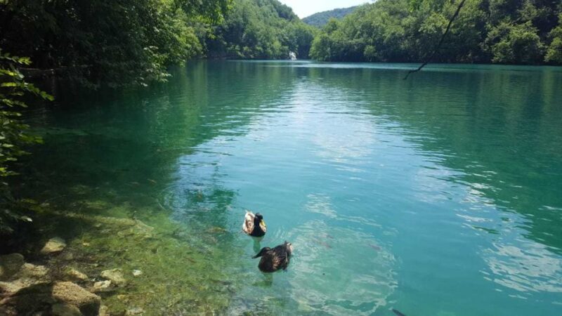 Zagreb to Split: Private Transfer with Plitvice Lakes - Authentic Experiences Drawn from Travelers