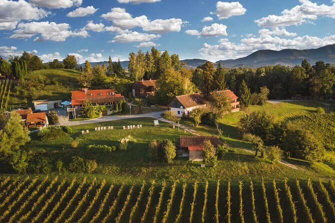 Zagreb - Vuglec Breg (winery) - A Closer Look at the Vuglec Breg Winery Tour