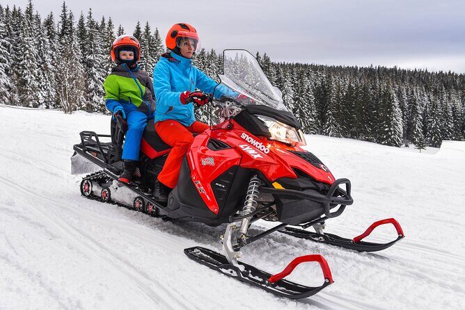 Zakopane: 3 hours Snowmobiles Guided Tour with bonfire and meal - Who Will Enjoy This Tour?