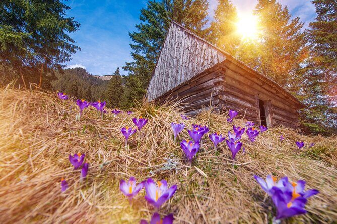 Zakopane and Chocholow Thermal Baths Tour from Krakow - Authentic Experiences and Practical Tips