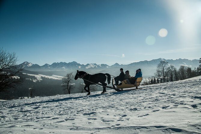 Zakopane and Horse Sleigh Ride in the countryside, private tour from Krakow - Key Points