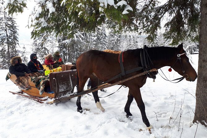 Zakopane and Horse Sleigh Ride in the countryside, private tour from Krakow - Who Will Enjoy This Tour Most?