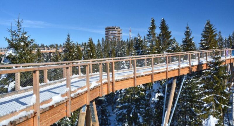 Zakopane: Bachledka Treetop Walk and Strbske Pleso Tour - What We Love About This Tour