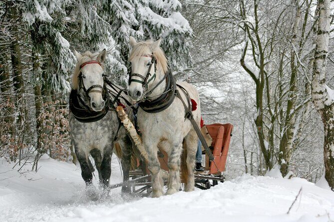 Zakopane Horse-Drawn Rides with Local Guide and Food Tasting - A Genuine Look at Zakopane Horse-Drawn Rides