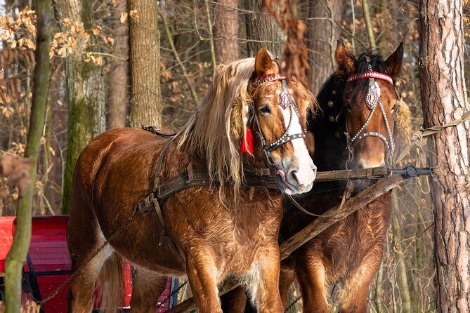 Zakopane Horse-Drawn Rides with Local Guide and Food Tasting - Frequently Asked Questions