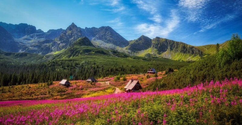 Zakopane: Private City Tour - Final Thoughts