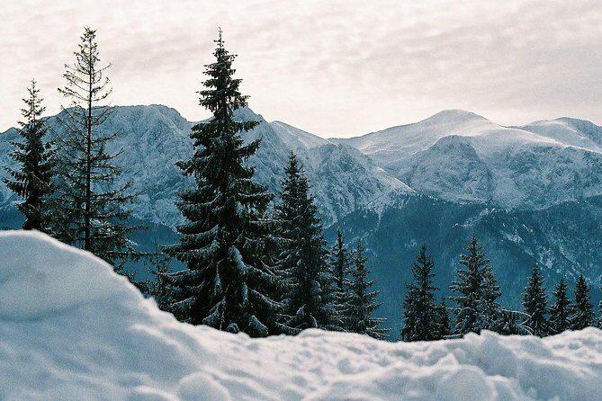 Zakopane private tour from Krakow with Thermal Baths - Authentic Experiences and Traveler Feedback