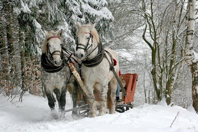 Zakopane & Sleigh Ride with Bonfire - Private Day Trip from Krakow - Key Points