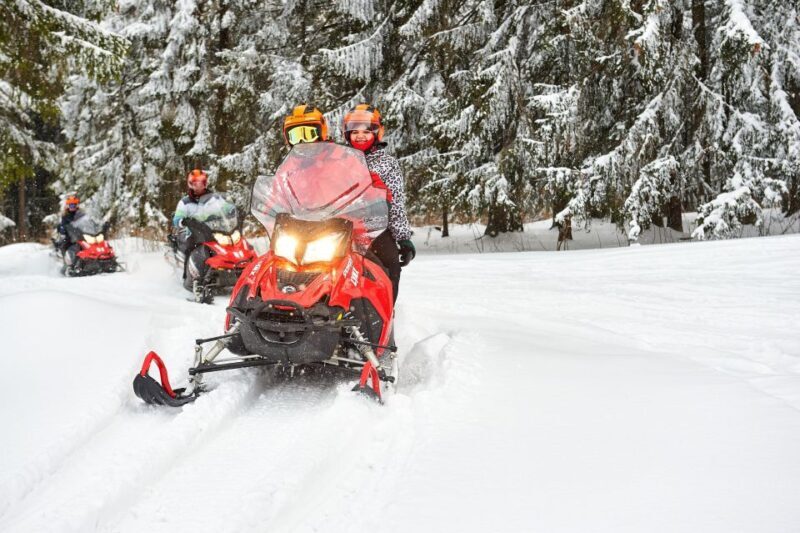 Zakopane: Snowmobiles Expedition and Optional Bonfire - Exploring the Zakopane Snowmobile Experience