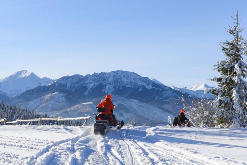 Zakopane: Snowmobiles Expedition and Optional Bonfire - Deep Dive: What Sets This Tour Apart