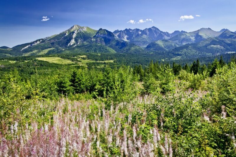 Zakopane: Tatra Mountains Full Day Tour from Krakow - A Deep Dive into the Zakopane Full Day Tour