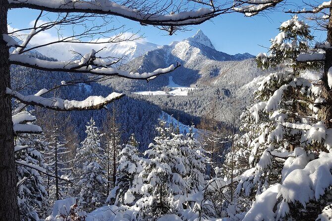 Zakopane - The Winter Wonderland - Private Tour from Krakow - Key Points