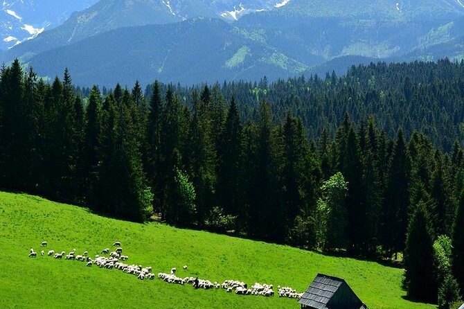 ZAKOPANE & THERMAL SPRINGS, Funicular, Cheese Tasting - Practical Details and What to Expect