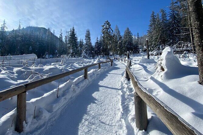 Zakopane Tour from Krakow with Thermal SPA and Hotel Pick up - Who Would Enjoy This Tour?
