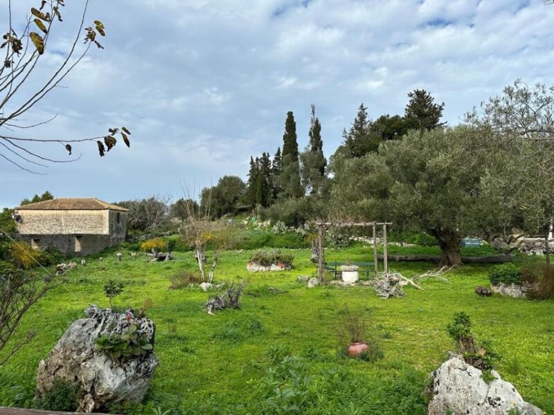 Zakynthos 4x4 off-road experience with Lunch - Authenticity, Value, and Who Will Love This Tour