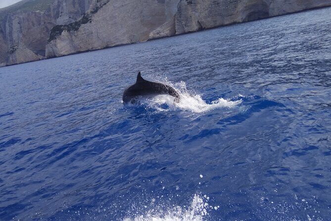 Zakynthos All Day Tour Shipwreck beach, view point-Blue Caves - In-Depth Look at the Zakynthos All Day Tour