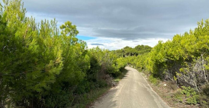 Zakynthos Premium 4x4 Sunset Escape - Experience the Beauty of Zakynthos with the Premium 4x4 Sunset Escape