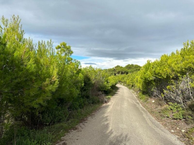 Zakynthos Premium 4x4 Sunset Escape - Key Points