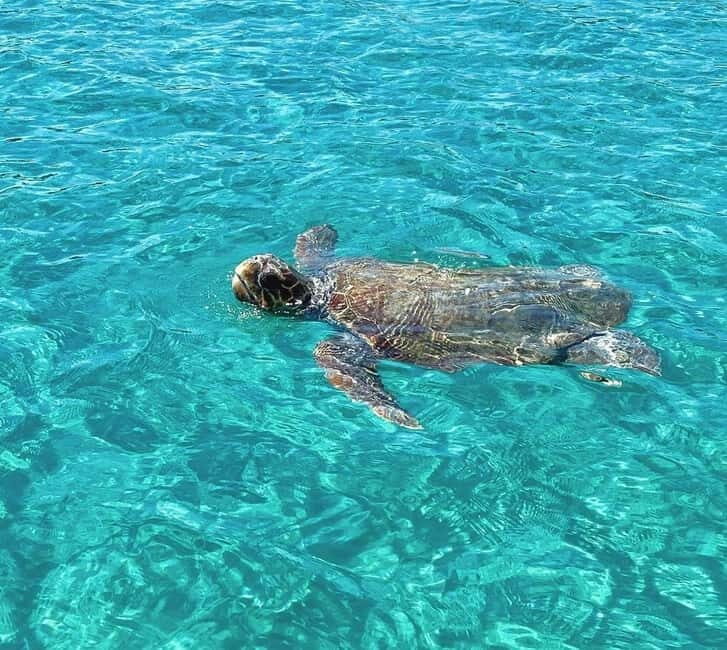 Zakynthos: Private Boat Tour with Captain - Who Should Book This Tour?