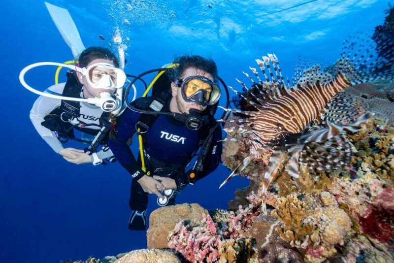 Zakynthos: Scuba Diving Experience with Underwater Photos - Zakynthos: Scuba Diving Experience with Underwater Photos