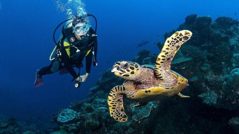 Zakynthos: Scuba Diving Experience with Underwater Photos - Who Will Love This Tour?